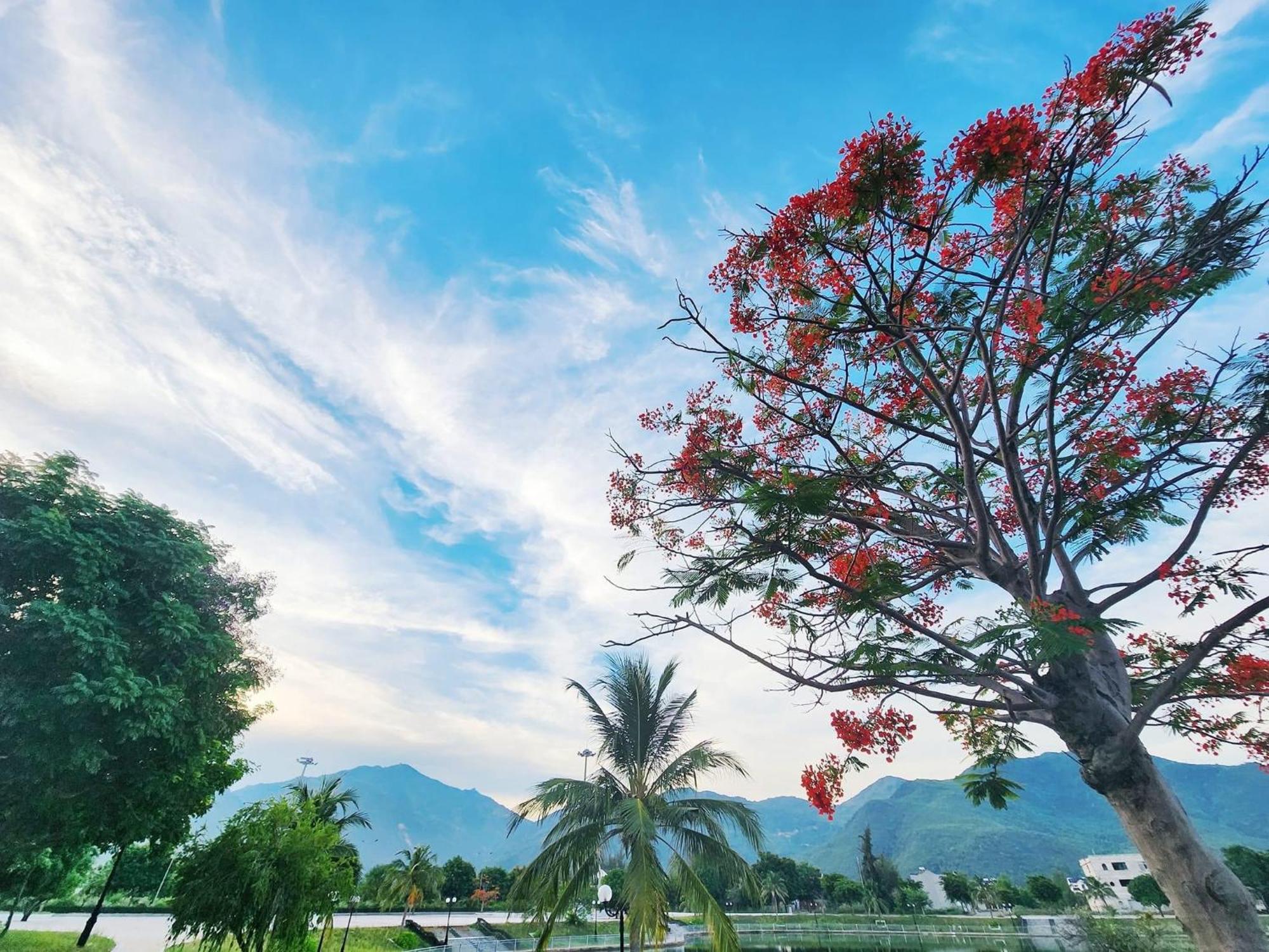 Moc Homestay- Near Bai Dai Beach Cam Lam Bagian luar foto
